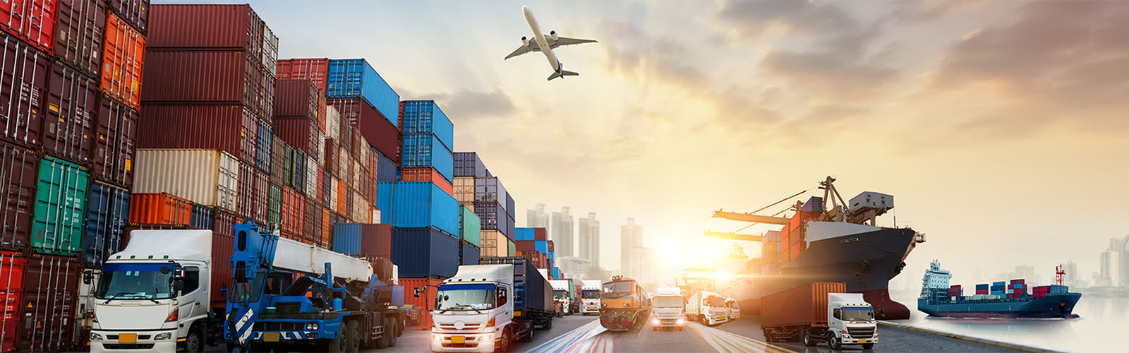 Express Freight Management Solutions